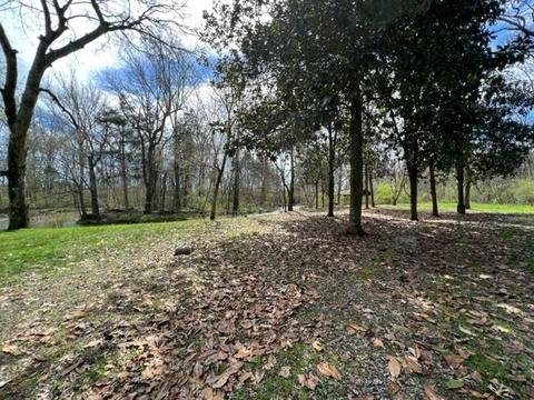 784 Blue Spring Rd, Decherd, TN 37324 photo 16