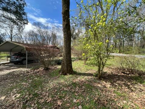 784 Blue Spring Rd, Decherd, TN 37324 photo 14