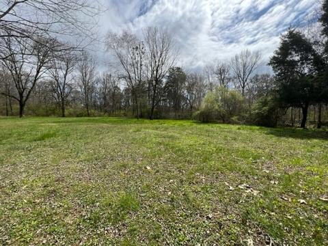 784 Blue Spring Rd, Decherd, TN 37324 photo 30