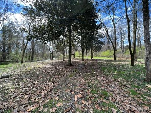 784 Blue Spring Rd, Decherd, TN 37324 photo 15