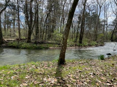 784 Blue Spring Rd, Decherd, TN 37324 photo 22