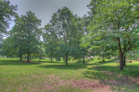 241 Rouse Rd, Dickson, TN 37055 photo 39