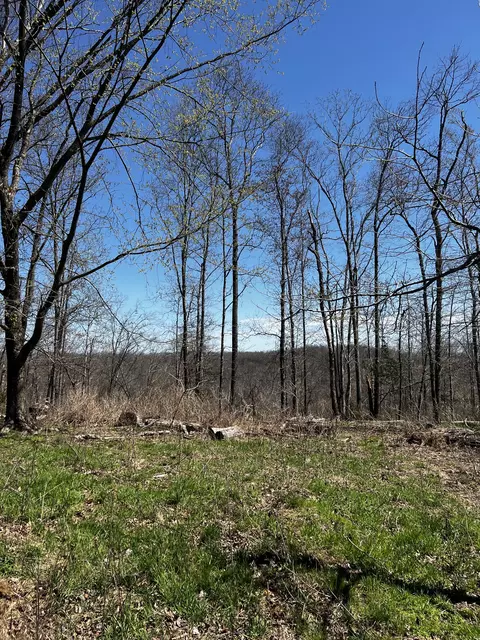 1 Goff Ridge Rd, Baxter, TN 38544 photo 7