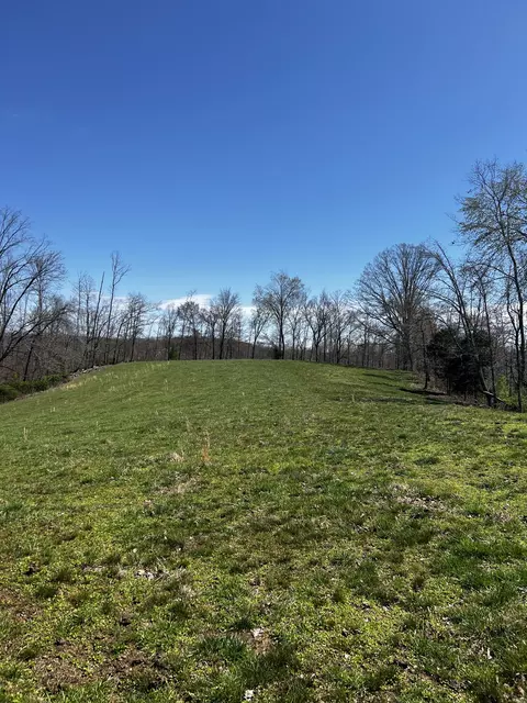 1 Goff Ridge Rd, Baxter, TN 38544 photo 6
