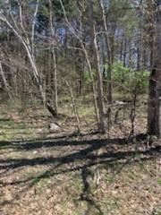4896 Smithson Rd, College Grove, TN 37046