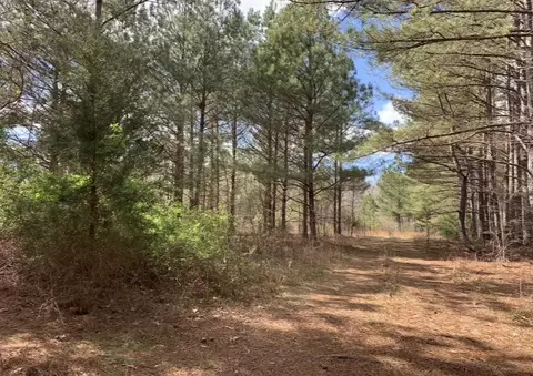 0 Little Texas Rd, Goodspring, TN 38460 photo 30