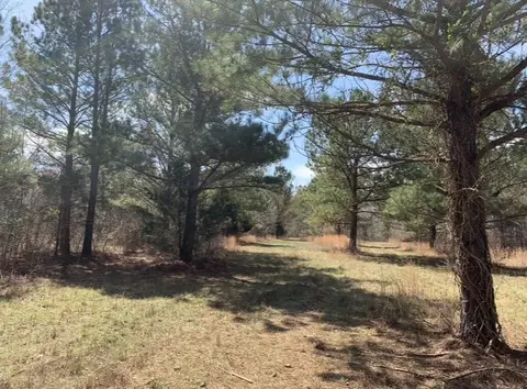 0 Little Texas Rd, Goodspring, TN 38460 photo 19