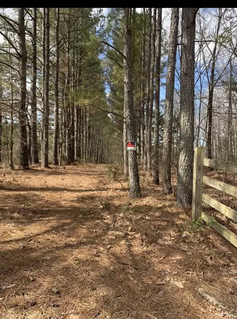 0 Little Texas Rd, Goodspring, TN 38460 photo 33