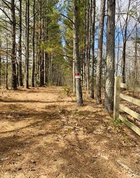 0 Little Texas Rd, Goodspring, TN 38460 photo 34