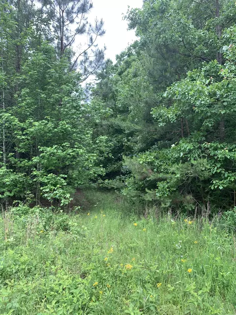 0 Little Texas Rd, Goodspring, TN 38460 photo 43