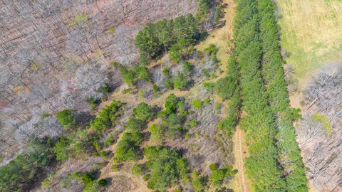 0 Little Texas Rd, Goodspring, TN 38460 photo 24