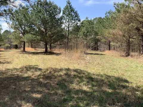 0 Little Texas Rd, Goodspring, TN 38460 photo 20