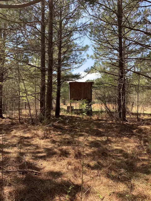 0 Little Texas Rd, Goodspring, TN 38460 photo 31