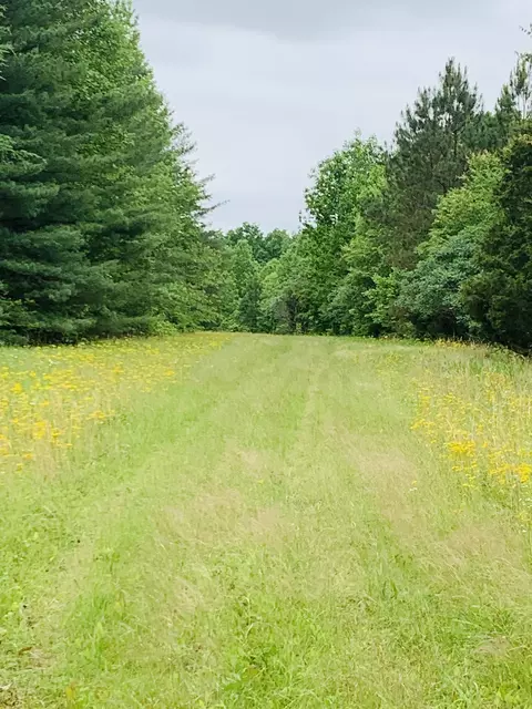 0 Little Texas Rd, Goodspring, TN 38460 photo 46