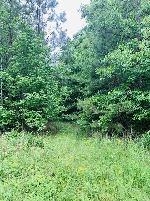 0 Little Texas Rd, Goodspring, TN 38460 photo 41