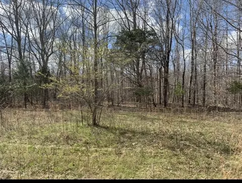 0 Little Texas Rd, Goodspring, TN 38460 photo 28