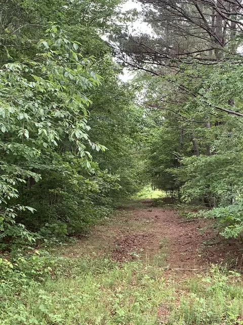 0 Little Texas Rd, Goodspring, TN 38460 photo 45