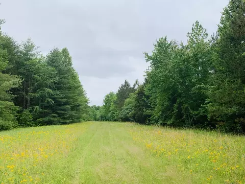 0 Little Texas Rd, Goodspring, TN 38460 photo 5
