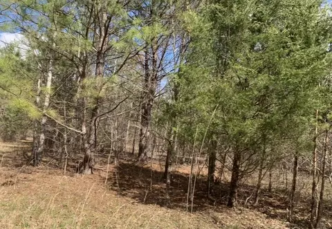 0 Little Texas Rd, Goodspring, TN 38460 photo 32