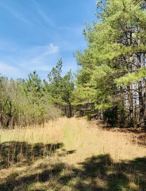 0 Little Texas Rd, Goodspring, TN 38460 photo 39