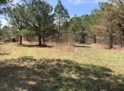 0 Little Texas Rd, Goodspring, TN 38460 photo 29