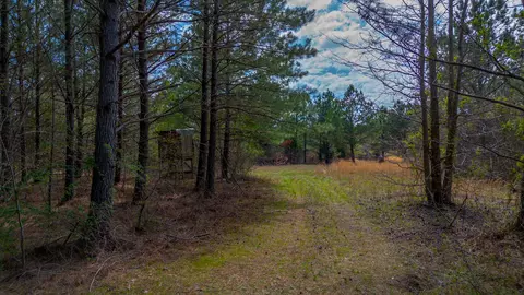 0 Little Texas Rd, Goodspring, TN 38460 photo 9
