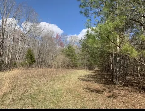 0 Little Texas Rd, Goodspring, TN 38460 photo 8