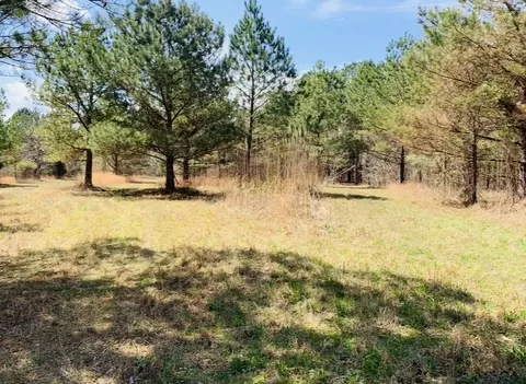 0 Little Texas Rd, Goodspring, TN 38460 photo 40