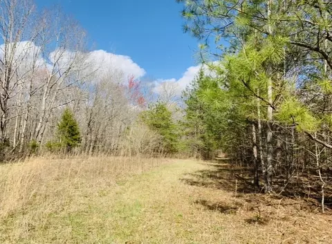 0 Little Texas Rd, Goodspring, TN 38460 photo 35