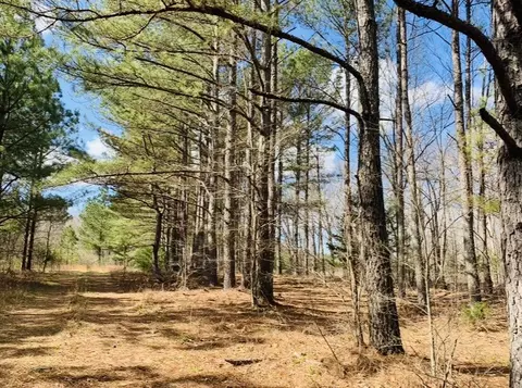 0 Little Texas Rd, Goodspring, TN 38460 photo 38