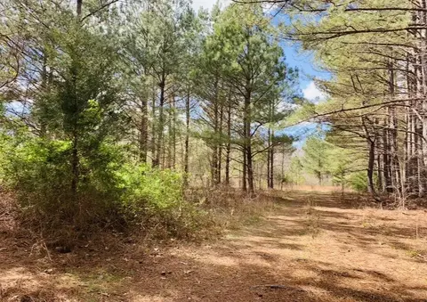 0 Little Texas Rd, Goodspring, TN 38460 photo 6