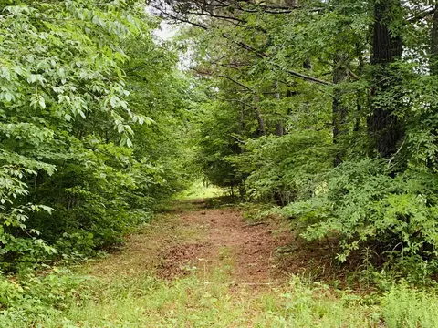 0 Little Texas Rd, Goodspring, TN 38460 photo 4