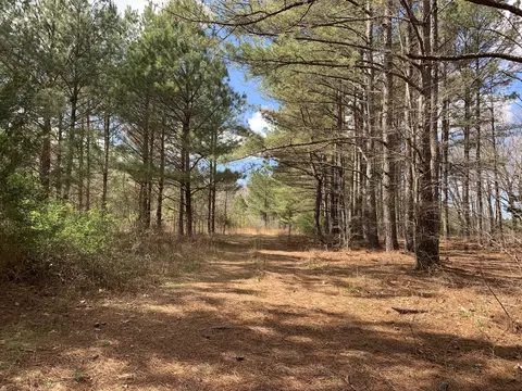 0 Little Texas Rd, Goodspring, TN 38460 photo 25