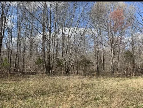 0 Little Texas Rd, Goodspring, TN 38460 photo 18