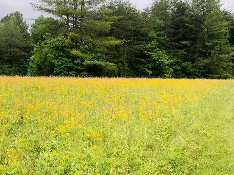 0 Little Texas Rd, Goodspring, TN 38460 photo 3