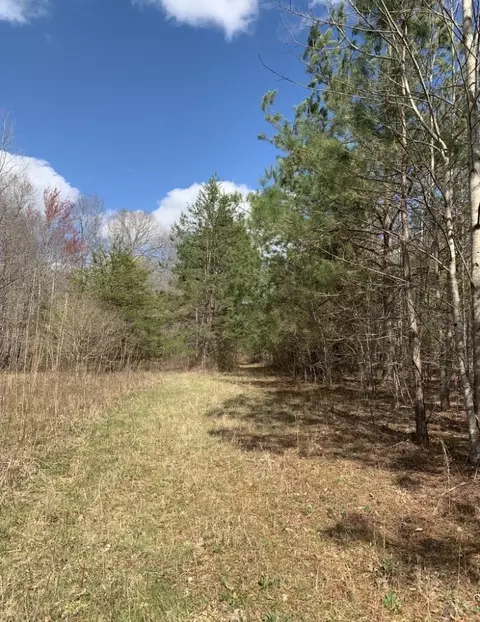0 Little Texas Rd, Goodspring, TN 38460 photo 27