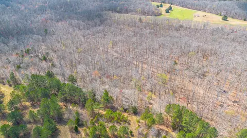 0 Little Texas Rd, Goodspring, TN 38460 photo 26
