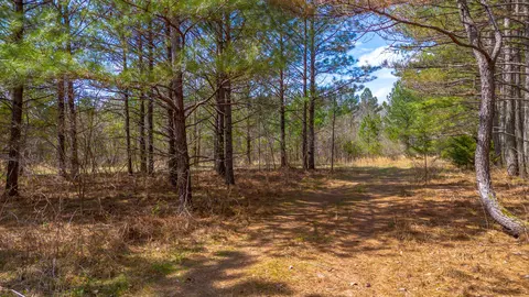 0 Little Texas Rd, Goodspring, TN 38460