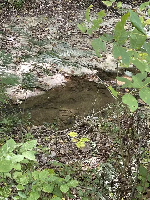 0 Harris Rd, Dickson, TN 37055 photo 3