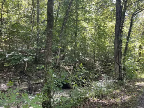 0 Harris Rd, Dickson, TN 37055 photo 5
