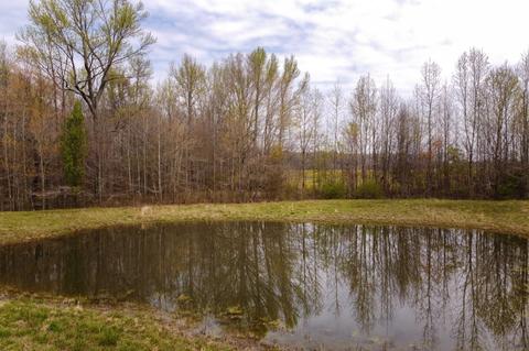 1036 Rabbit Trail Rd, Five Points, TN 38457 photo 27