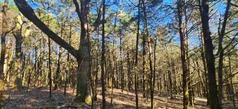 0 Celsor Rd, Hartsville, TN 37074