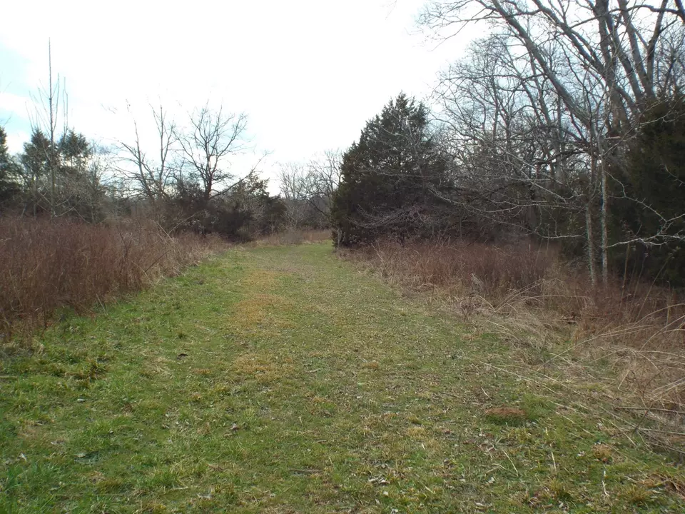  6294 Snail Shell Cave Rd, Rockvale, TN 37153 photo 17