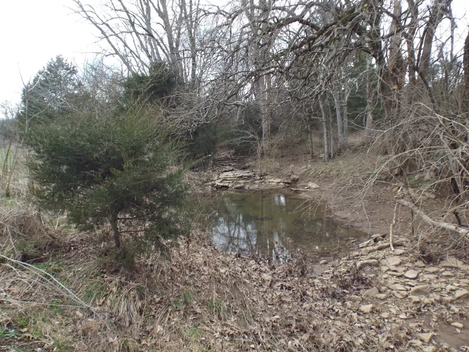 6294 Snail Shell Cave Rd, Rockvale, TN 37153 photo 18