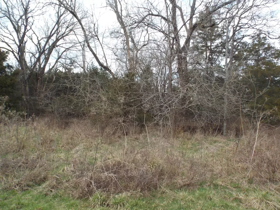  6294 Snail Shell Cave Rd, Rockvale, TN 37153 photo 21
