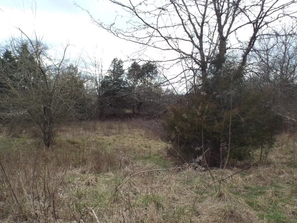  6294 Snail Shell Cave Rd, Rockvale, TN 37153 photo 15