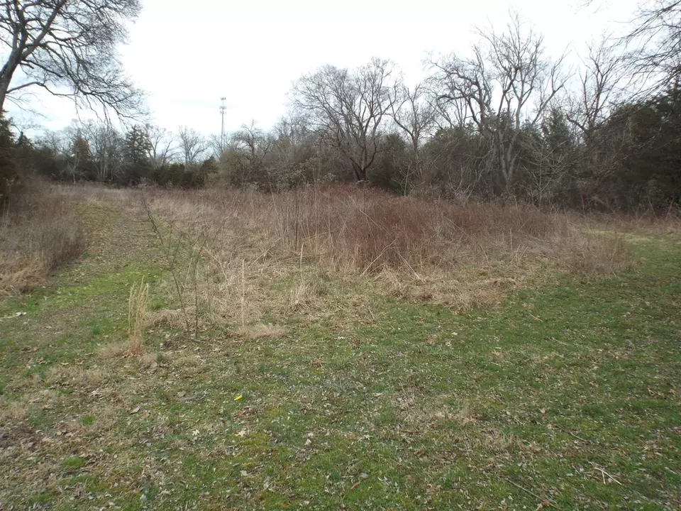  6294 Snail Shell Cave Rd, Rockvale, TN 37153 photo 19