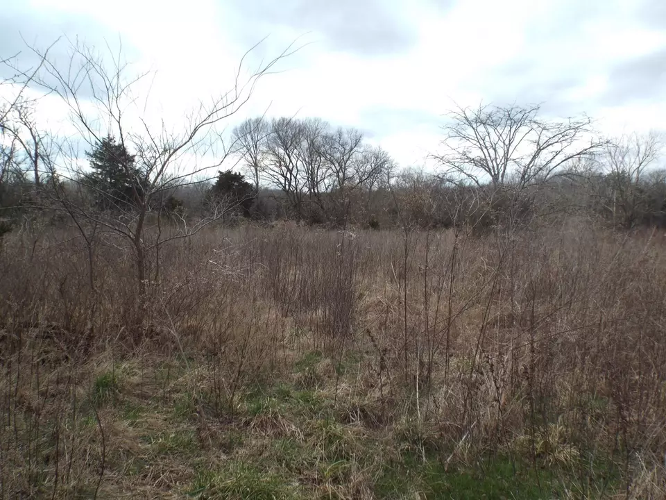  6294 Snail Shell Cave Rd, Rockvale, TN 37153 photo 11