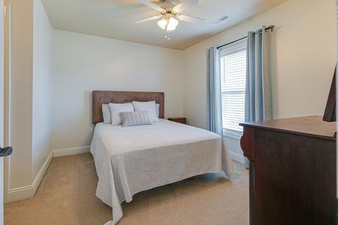2003 Eylandt Ct, Spring Hill, TN 37174 photo 22