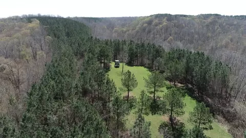 0 N Wolf Crk, Centerville, TN 37033